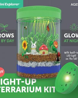 Light-up Terrarium Kit for Kids with LED Light on Lid