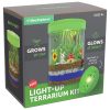Light-up Terrarium Kit
