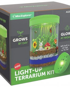 Light-up Terrarium Kit for Kids with LED Light on Lid