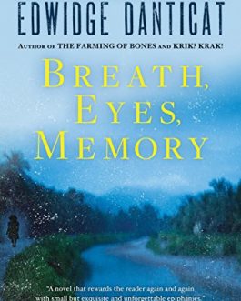Breath, Eyes, Memory