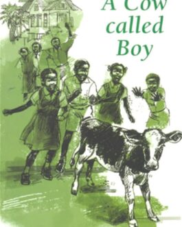 A Cow called Boy