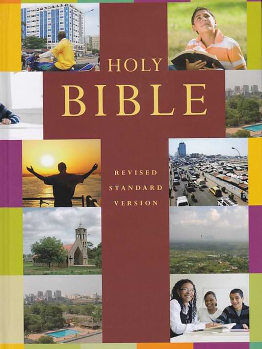 RSV Popular Illustrated Holy Bible