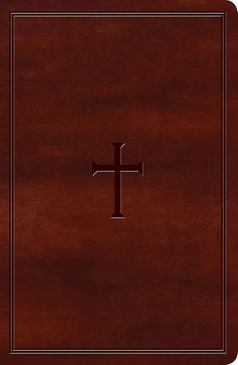 Hollman KJV Large print personal Size Reference Bible-Brown